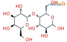 α-2,6 唾液酸半乳糖；Sialα2,6-Gal；α-2,6 唾液酸半乳糖