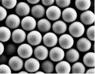 单分散聚苯乙烯微球300nm；单分散聚苯乙烯微球