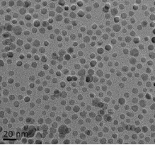 羧基四氧化三铁1um，表面是柠檬酸修饰，Citrate-modified ferric oxide nanoparticles