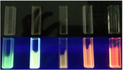 氨基聚苯乙烯微球包载稀土荧光探针染料 粒径200nm