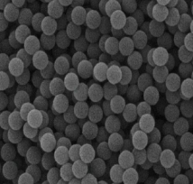 聚苯乙烯微球77nm；polystyrene microsphere