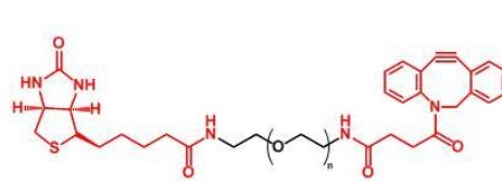  Biotin-PEG-DBCO  生物素聚乙二醇二苯基环辛炔