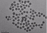 羧基化ps微球200nm；羧基化红色荧光聚苯乙烯微球 