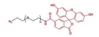 FITC-PEG-Azide N3-PEG-FITC 叠氮聚乙二醇荧光素