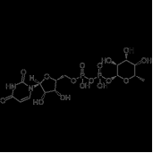 UDP-鼠李糖；尿苷-5'-二磷酸鼠李糖；UDP-β-L-rhamnose