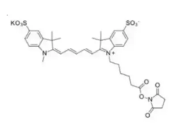 Sulfo-Cy5 NHS ester；磺酸基-Cy5-N-羟基琥珀酰亚胺酯
