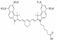 Sulfo-Cy7.5 carboxylic acid；磺酸基花青素CY7.5羧酸
