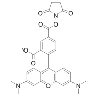5-TAMRA NHS；150810-68-7；5-羧基四甲基罗丹明琥珀酰亚胺酯