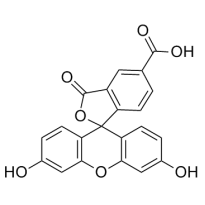 5-FAM 5-羧基荧光素；CAS76823-03-5；5-carboxyfluorescein