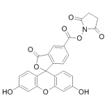 FITC-NHS  5-FAM-NHS  5-羧基荧光素琥珀酰亚胺酯