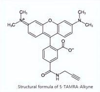 TAMRA alkyne, 5-isomer，945928-17-6