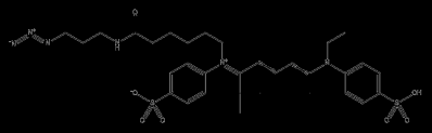 Sulfo CY3 N3；2322322-57-4；磺化花菁3叠氮化物