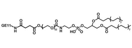 DSPE-PEG-GE11，磷脂-聚乙二醇-肿瘤细胞表皮生长因子肽GE11