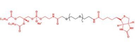  DSPE-PEG-Biotin Biotin-PEG-DSPE 磷脂聚乙二醇生物素