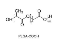 羧基端PLGA，50/50 MW:5000，聚乳酸羟基乙酸共聚物氨基