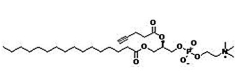 CAS 1353897-91-2 1-棕榈酰基-2-炔丙基乙酰酰磷脂酰胆碱