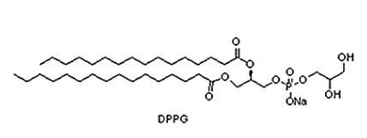 200880-41-7 1,2-棕榈酰磷脂酰甘油钠盐（DPPG） CAS 200880-41-7