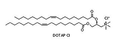  132172-61-3 (2,3-二油氧基丙基)三甲基氯化铵（DOTAP Cl)