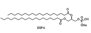 CAS 108321-18-2 二硬脂酰磷脂酸钠盐(DSPA) C39H76O8PNa