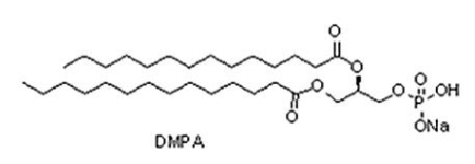 CAS 80724-31-8 二肉豆蔻酰磷脂酸钠盐  C31H60O8PNa