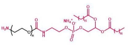 NH2-PEG-DSPE DSPE-PEG-Amine 磷脂聚乙二醇氨基