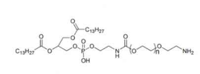 DMPE-PEG-NH2 二肉豆蔻酰磷脂酰乙醇胺-聚乙二醇-氨基