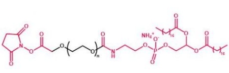 DSPE-PEG-NHS NHS-PEG-DSPE 磷脂聚乙二醇活性酯