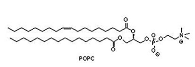 26853-31-6  1-palmitoyl-2-oleoyl-glycero-3-phosphocholine