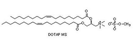 144189-73-1 1,2-dioleoyl-3-trimethylammonium-propane (methyl sulfate salt)