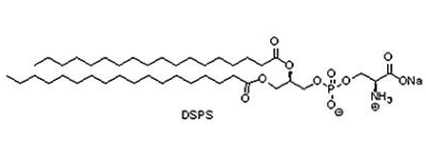 321595-13-5 二硬酯酰磷脂酰丝氨酸钠( DSPS)