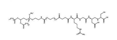 DSPE-PEG-RGD  PEG衍生物