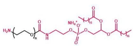 NH2-PEG-DSPE DSPE-PEG-Amine 磷脂聚乙二醇氨基 