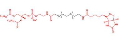 DSPE-PEG-Biotin Biotin-PEG-DSPE  磷脂聚乙二醇生物素