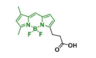 BDP FL acid，165599-63-3
