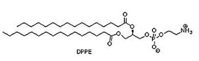 923-61-5 1,2-dipalmitoyl-sn-glycero-3-phosphocholine