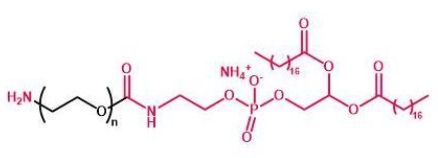 NH2-PEG-DSPE DSPE-PEG-Amine 磷脂聚乙二醇氨基