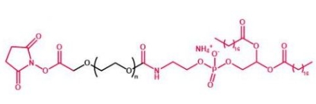 DSPE-PEG-NHS NHS-PEG-DSPE 磷脂聚乙二醇活性酯 