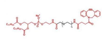 DSPE-PEG-DBCO 磷脂聚乙二醇二苯基環(huán)辛炔