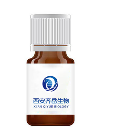 PEI modified Gold Nanoparticles     