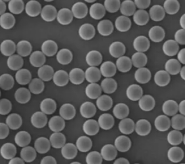 羧基化PS微球 100NM（25mg/ml）；羧基蓝色荧光微球