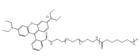 PCL-PEG-RB 聚己内酯聚乙二醇罗丹明