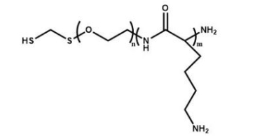  HS-PEG-PLL Polylysine-PEG-Thiol 巯基聚乙二醇聚赖氨酸
