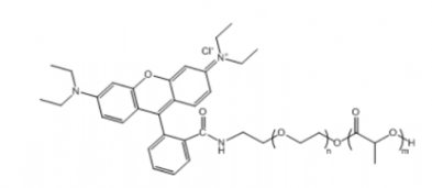  PLA-PEG-RB 聚乳酸-聚乙二醇-罗丹明