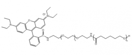 PCL-PEG-RB 聚己内酯-聚乙二醇-罗丹明B