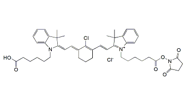 Acid-Cy7-NHS ester
