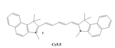 CY5.5 单体；CAS：210892-23-2；花菁染料CY5.5