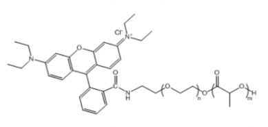 PLA-PEG-RB 聚乳酸-聚乙二醇-罗丹明