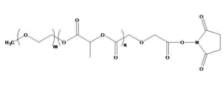 mPEG-PLGA-NHS  甲氧基聚乙二醇聚（L-丙交酯-共乙交酯）-活性酯