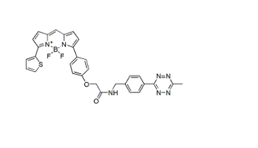 BDP TR methyltetrazine