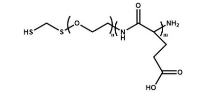 PGA-PEG-SH 聚谷氨酸-聚乙二醇-巯基